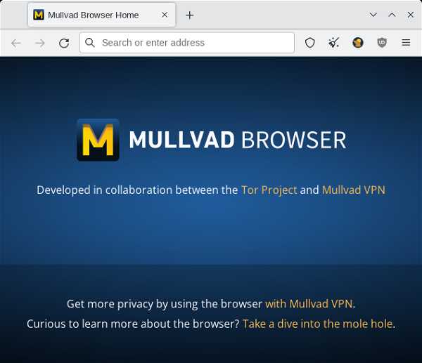 Mullvad Browser Screenshot